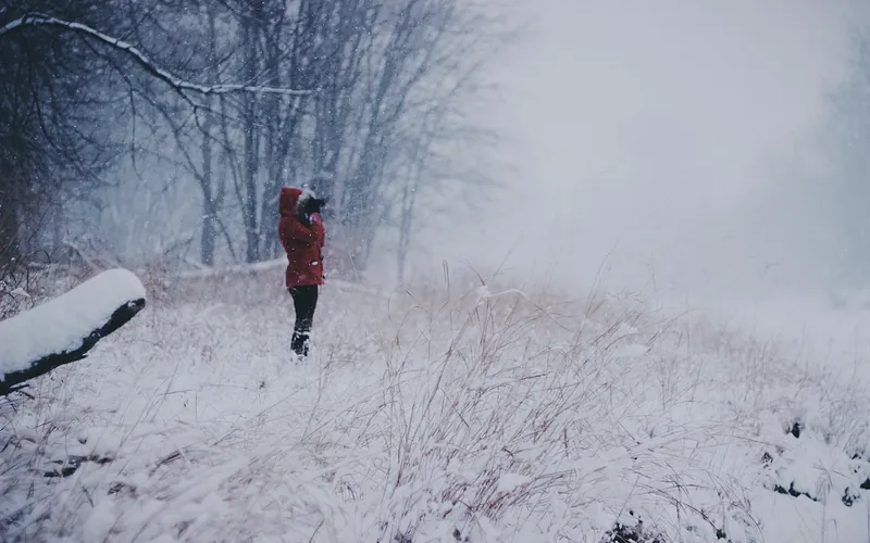 A figure in a red coat scanning a snowy wood through binoculars